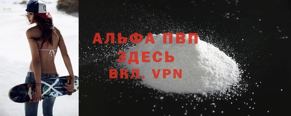 ГАЛЛЮЦИНОГЕННЫЕ ГРИБЫ Инта