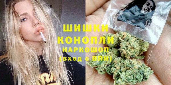 прущие крисы Белокуриха