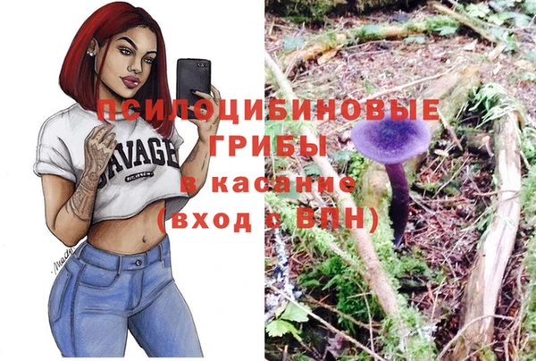 мдпв Богданович
