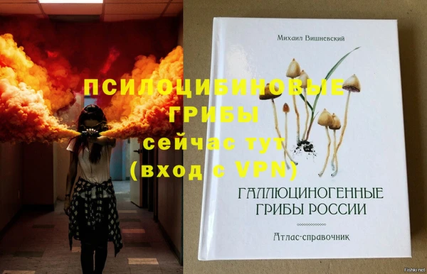 мдпв Богданович