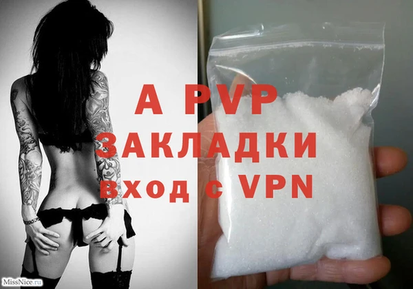 прущие крисы Белокуриха