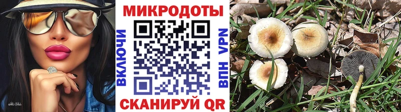 Псилоцибиновые грибы Psilocybine cubensis  купить наркотики цена  это как зайти  Краснослободск 